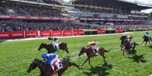 Cox Plate Boys Trip organised tour packages from NZ