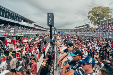 fans in adelaide